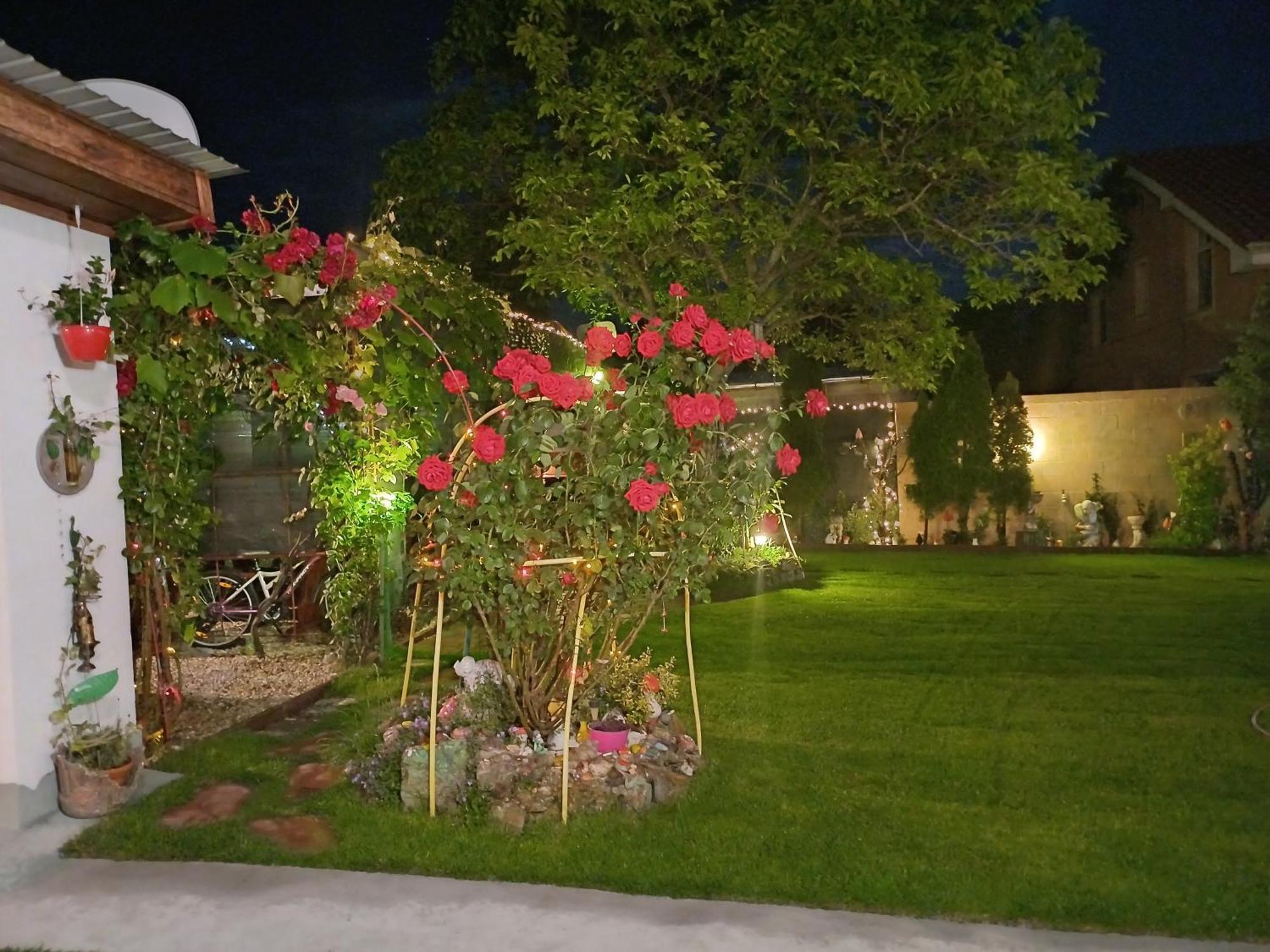 Casa Marinela Hotel Băile Felix Buitenkant foto