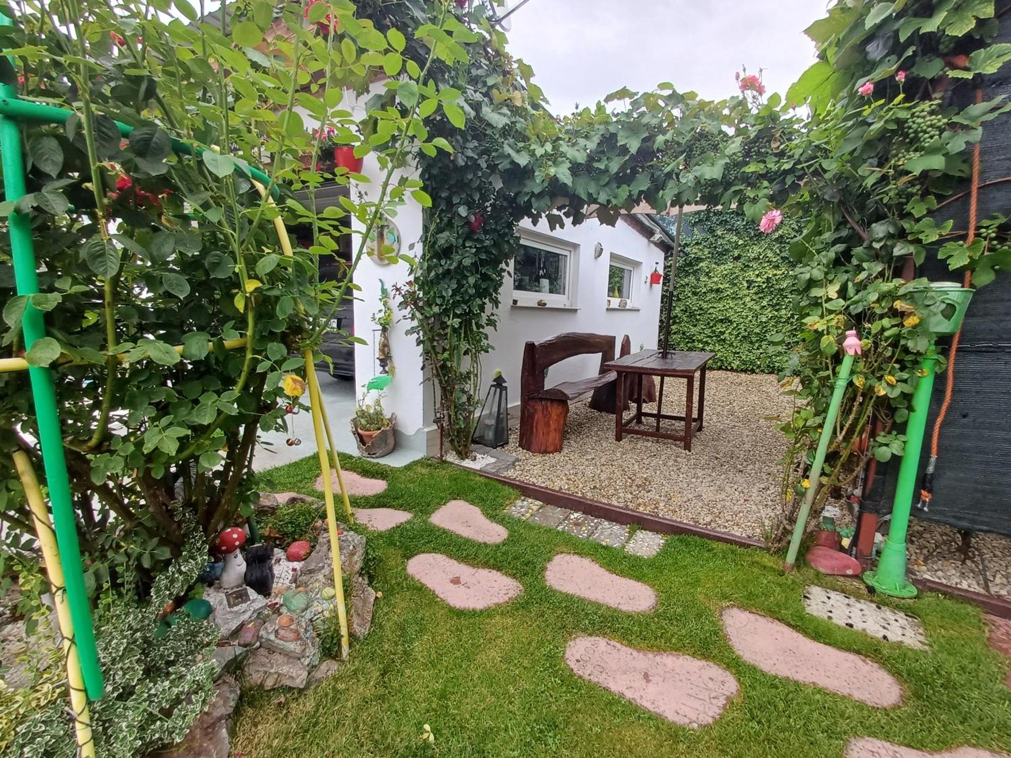 Casa Marinela Hotel Băile Felix Buitenkant foto